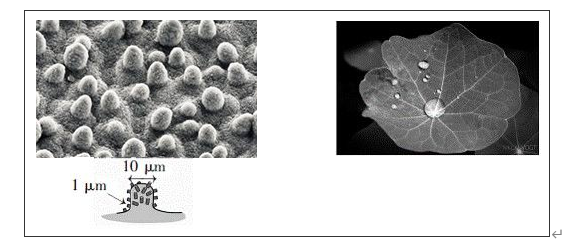 常州涂料網(wǎng) 常州涂料網(wǎng)
