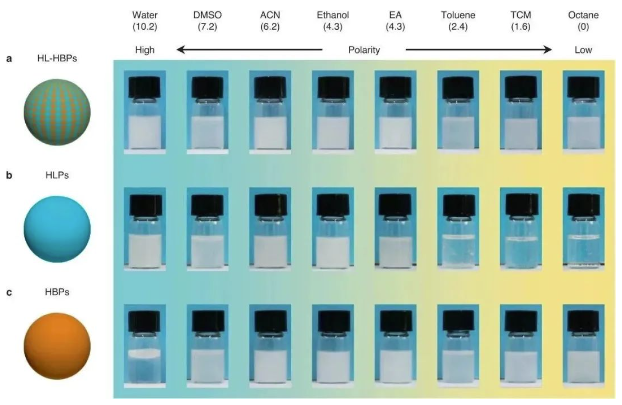 重磅！中科院采用親-疏異質微球實現從廢水中回收有機染料 中網行業信息網